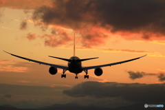787最終便