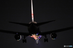 Night 767