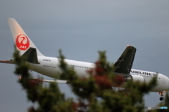 B767