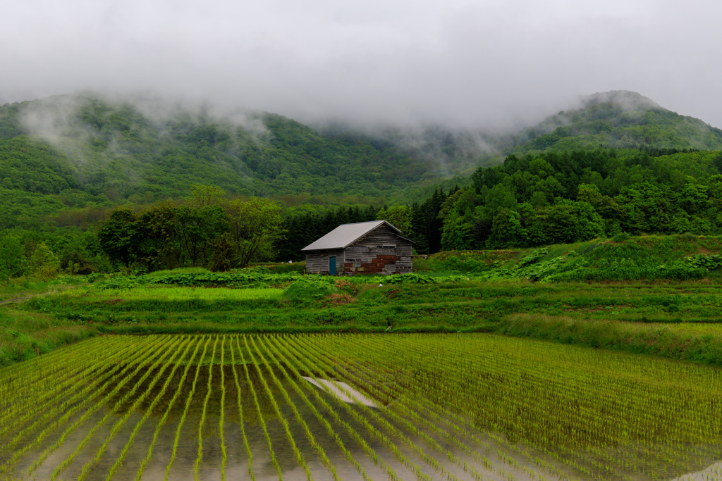 山間部の朝
