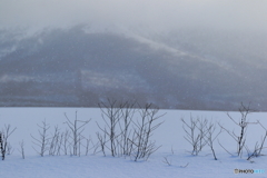 雪原