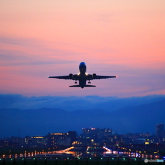 ヴィーナス７６７
