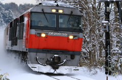 DF200-59