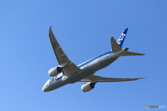 青い空787③