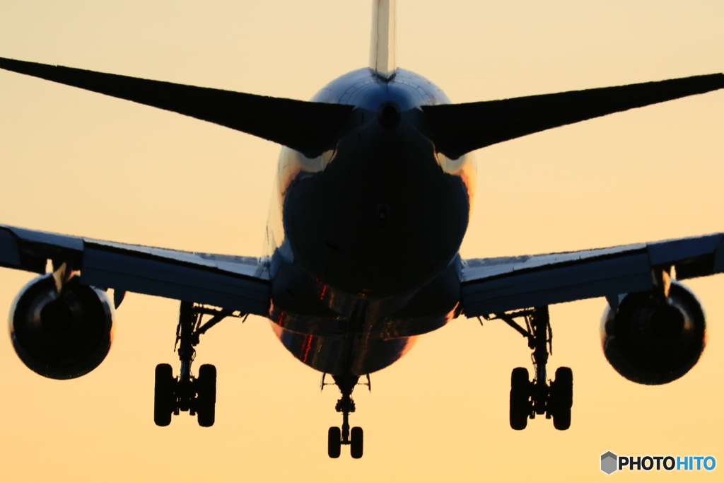 767