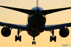 767