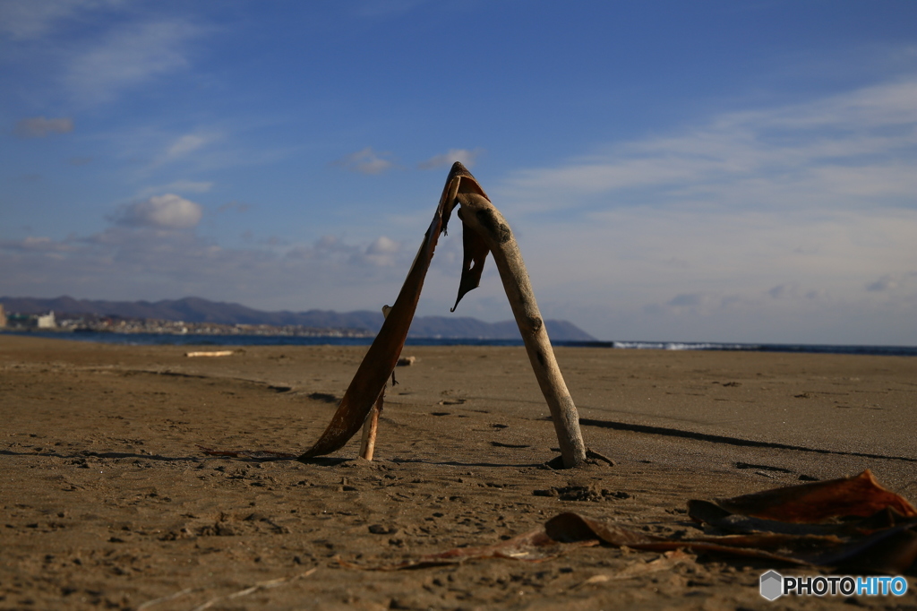 大森海岸より