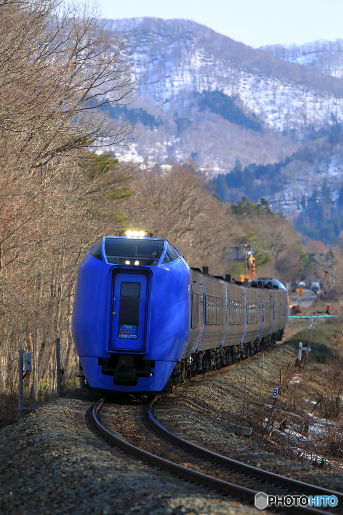 春の野山