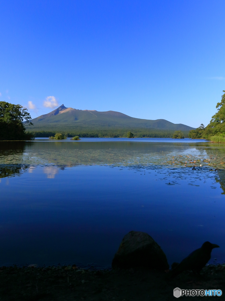 駒ヶ岳と大沼とカラス