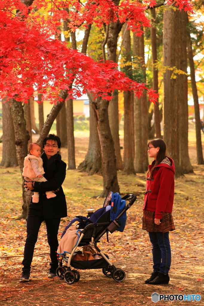 紅葉に染まって