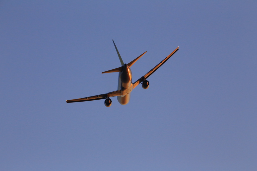 767