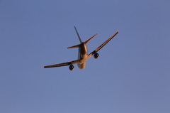 767