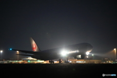 jalセレブレーションエクスプレスですが・・・