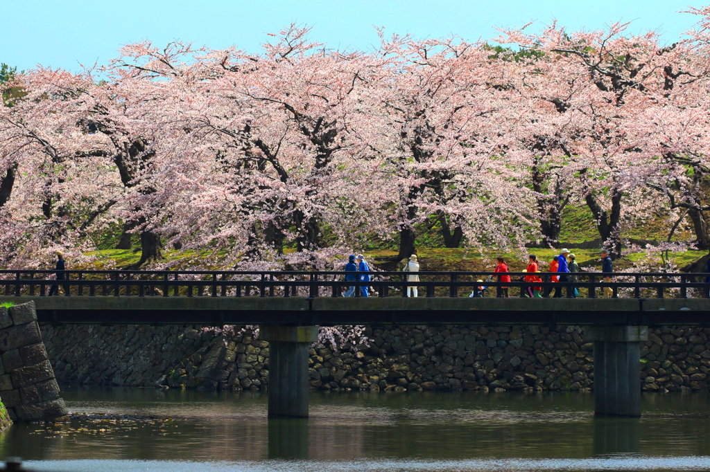 五稜郭公園