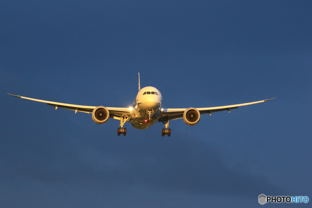 GOLD787