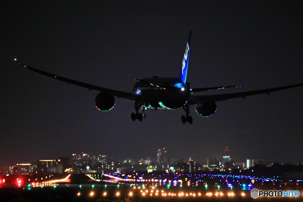 ANA787