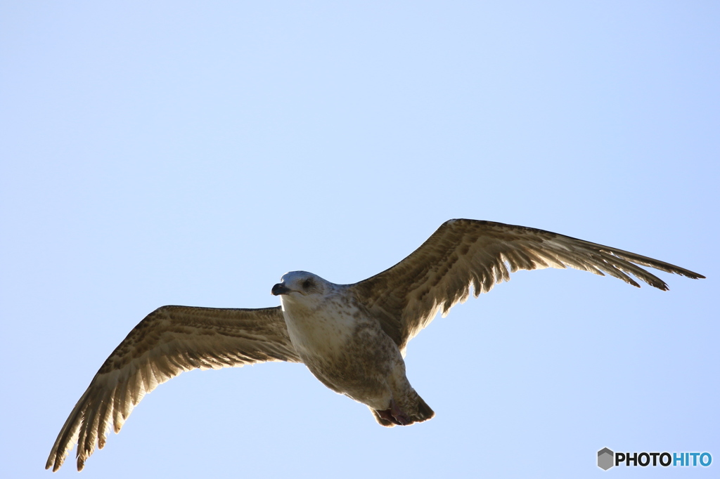 Are you flying?