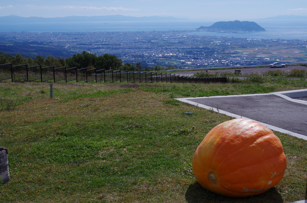 かぼちゃと函館山