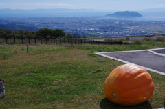 かぼちゃと函館山