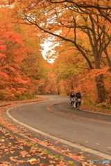 紅葉に囲まれて