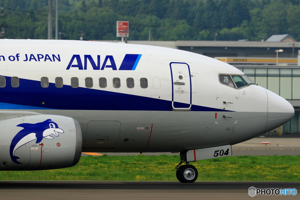 イルカ飛行機
