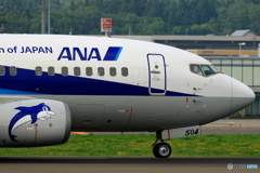 イルカ飛行機