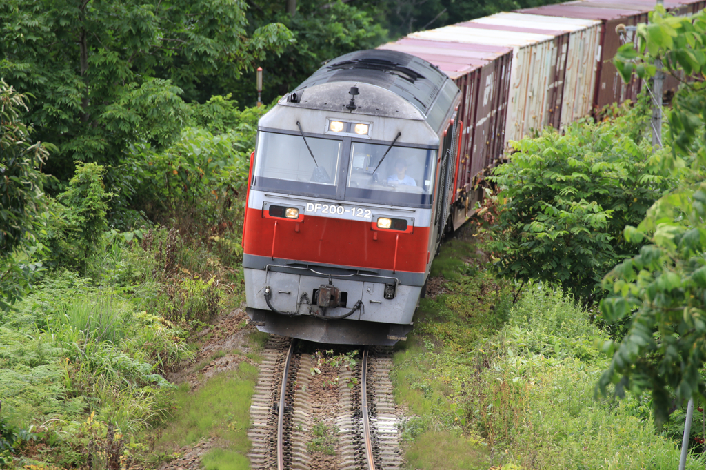 私ならワイパーが邪魔くさい