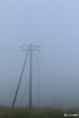 霧中