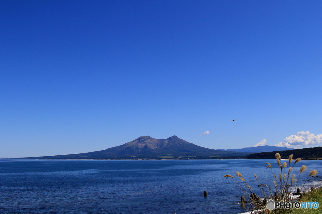 裾野