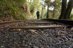 トロッコ道