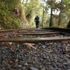 トロッコ道