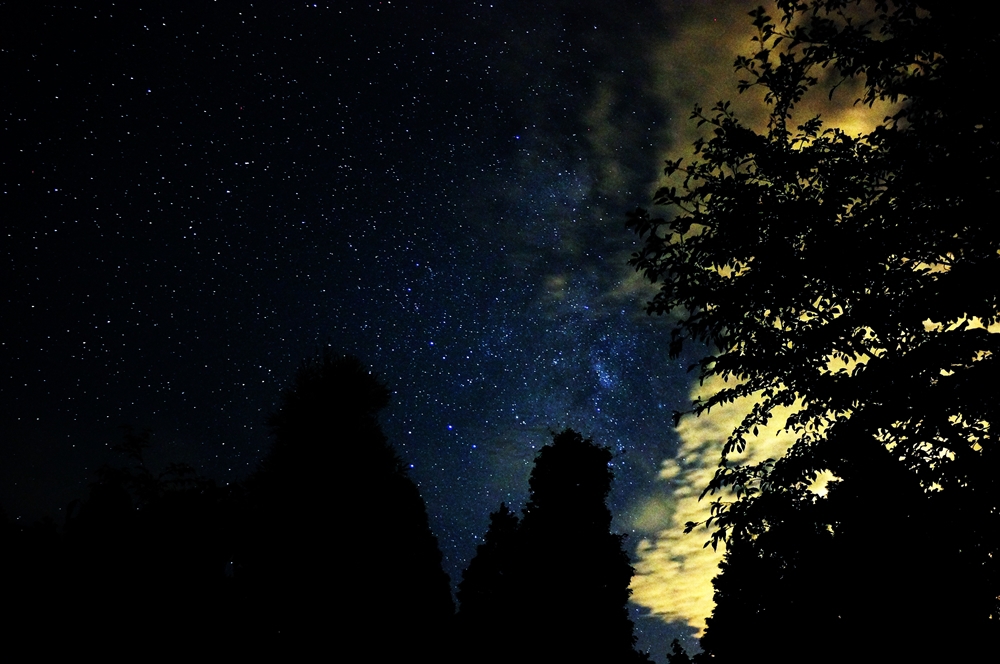 星と雲と木と