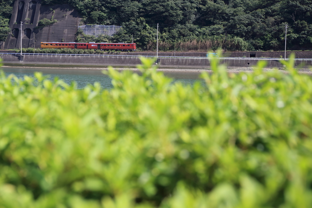 観光列車「伊予灘ものがたり」