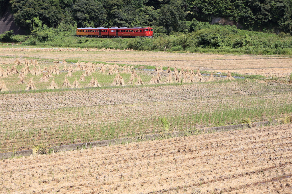 観光列車「伊予灘ものがたり」