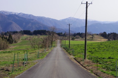 IMGP0500