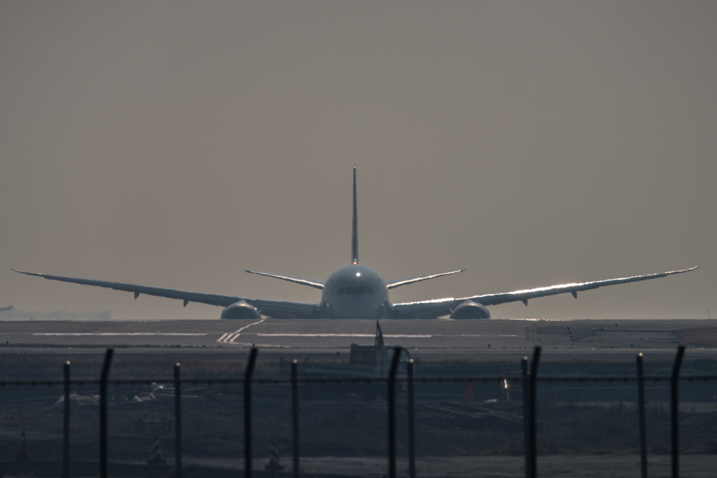 20160213-103653-0-NIKON D810