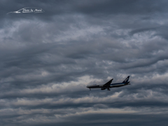20151129-143332-0-E-M5MarkII