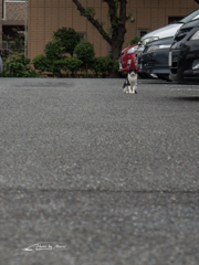 E-M5MarkII-20150927-130407-0