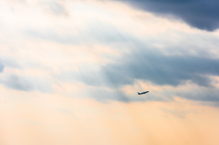 20151212-142359-0-NIKON D810