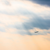 20151212-142359-0-NIKON D810