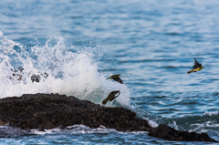 NIKON D7200-20150725-054942-0