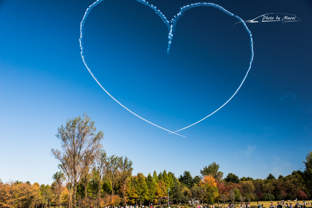 20151103-135432-0-NIKON D810