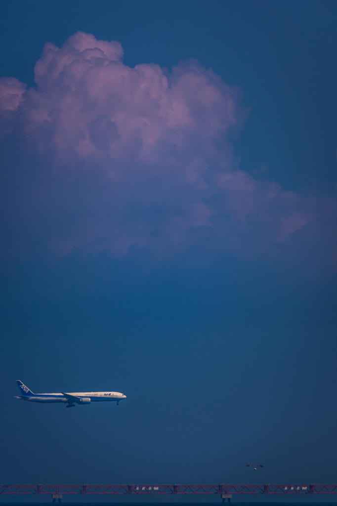 NIKON D7200-20150711-143157-0