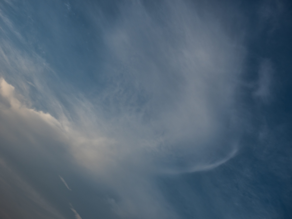 E-M5MarkII-20150725-052941-0