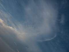 E-M5MarkII-20150725-052941-0