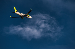 20151205-152440-0-NIKON D810