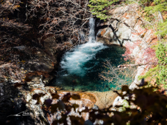 E-M5MarkII-20151025-104426-0