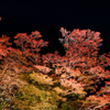 NIKON D810-20151025-181100-0