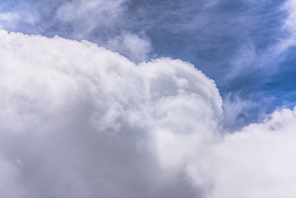 NIKON D810-20150719-110603-0