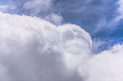 NIKON D810-20150719-110603-0